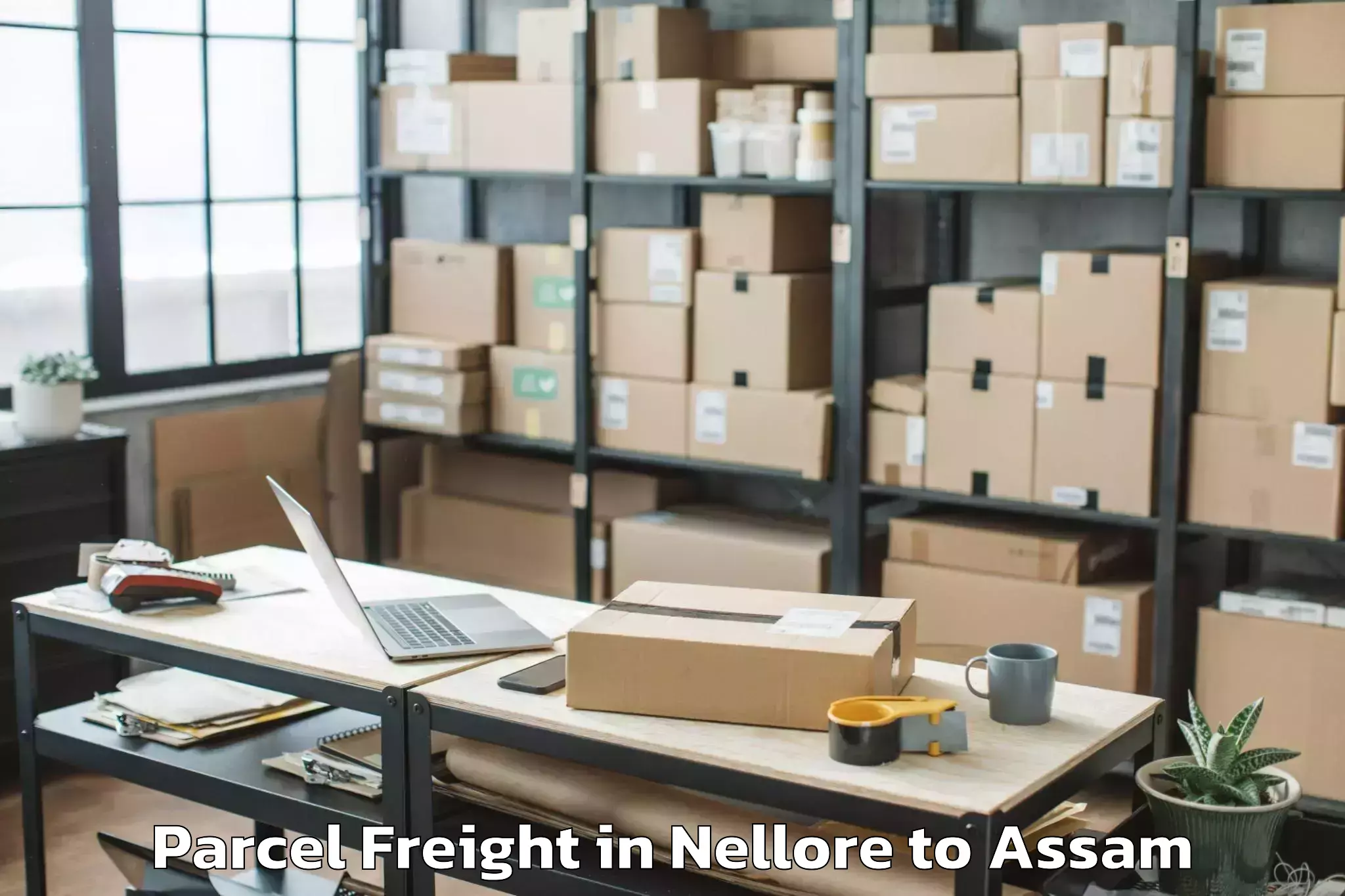 Top Nellore to Numaligarh Parcel Freight Available